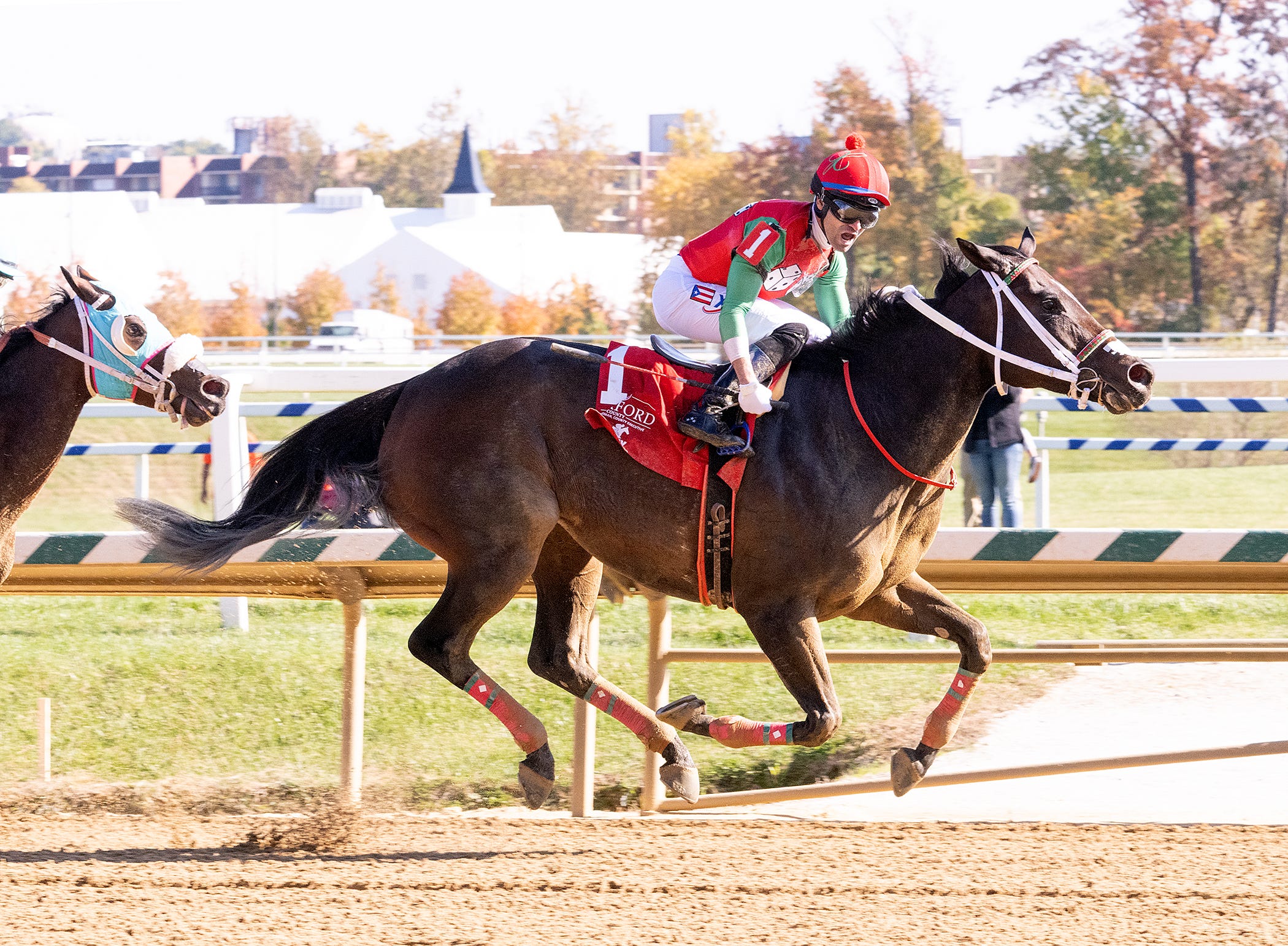 Maryland Stallions Great Notion leads sire list again